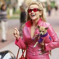 legally blonde 1155930