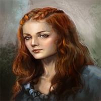 bb3014a1264b178d4f0694924623d5c5--house-stark-sansa-stark